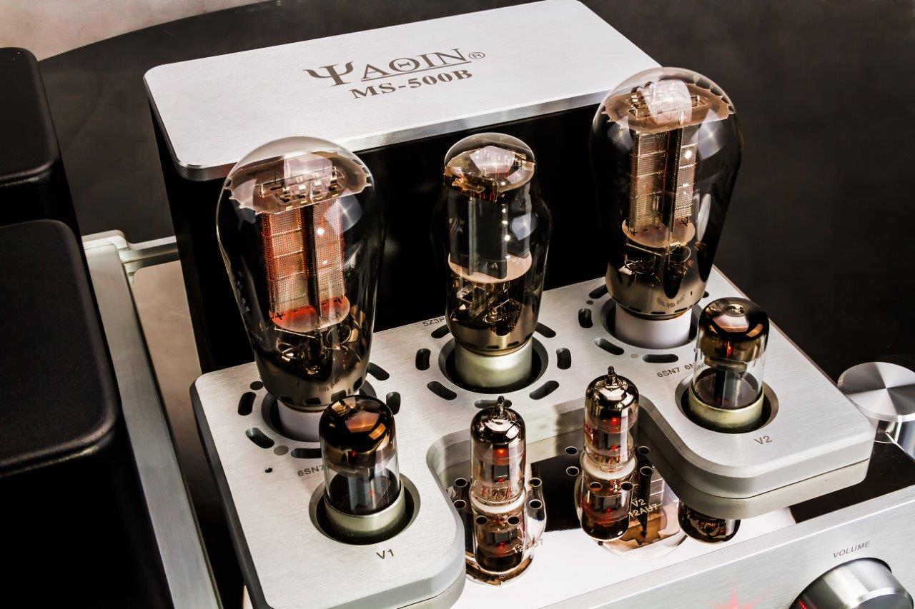 Yaqin-MS-500B